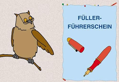 Füller-Führerschein - Klassensatz Führerscheine (Bergedorfer® Führerscheine)